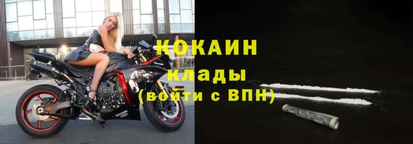бошки Белокуриха
