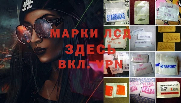 бошки Белокуриха